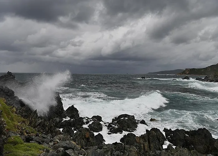 Domitys Le Jardin Des Palmiers