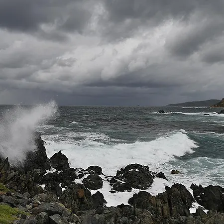 Domitys Le Jardin Des Palmiers